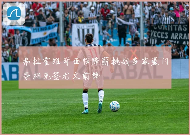 弗拉霍维奇面临降薪挑战多家豪门争相免签尤文前锋