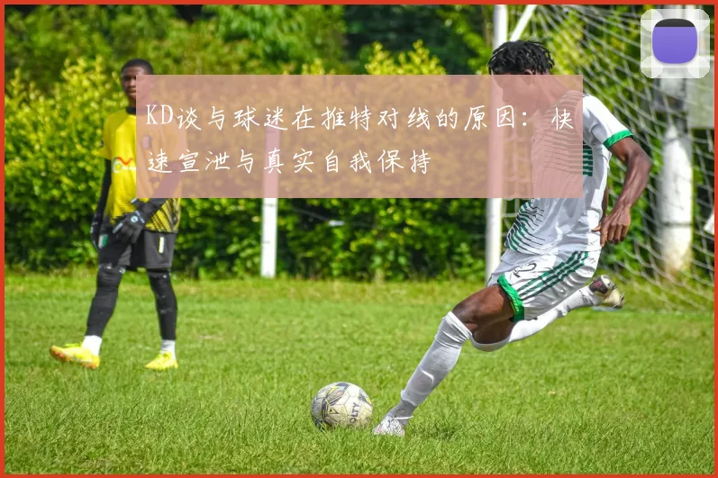 KD谈与球迷在推特对线的原因：快速宣泄与真实自我保持