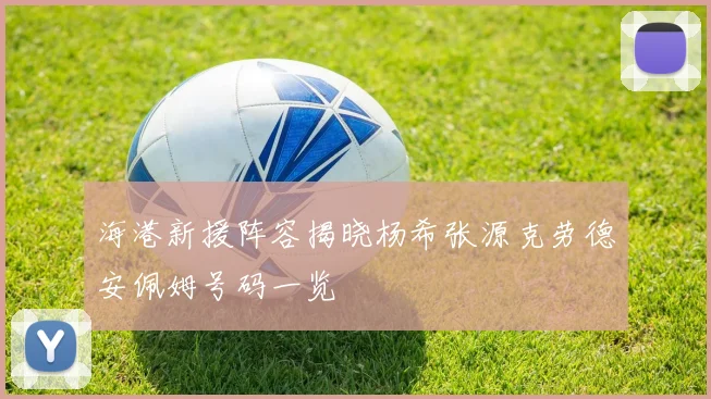海港新援阵容揭晓杨希张源克劳德安佩姆号码一览