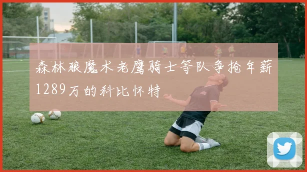 森林狼魔术老鹰骑士等队争抢年薪1289万的科比怀特