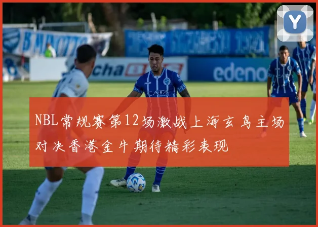 NBL常规赛第12场激战上海玄鸟主场对决香港金牛期待精彩表现