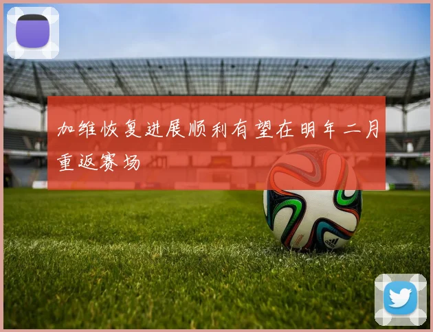 加维恢复进展顺利有望在明年二月重返赛场