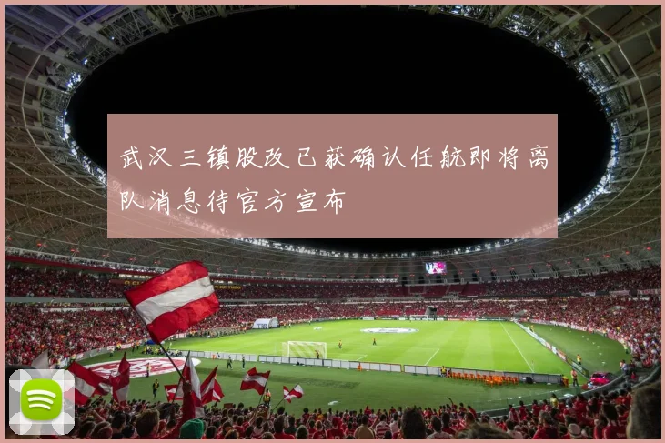 武汉三镇股改已获确认任航即将离队消息待官方宣布